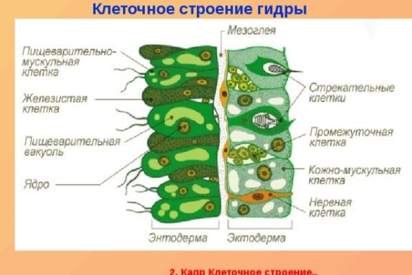 Кракен 18 вход